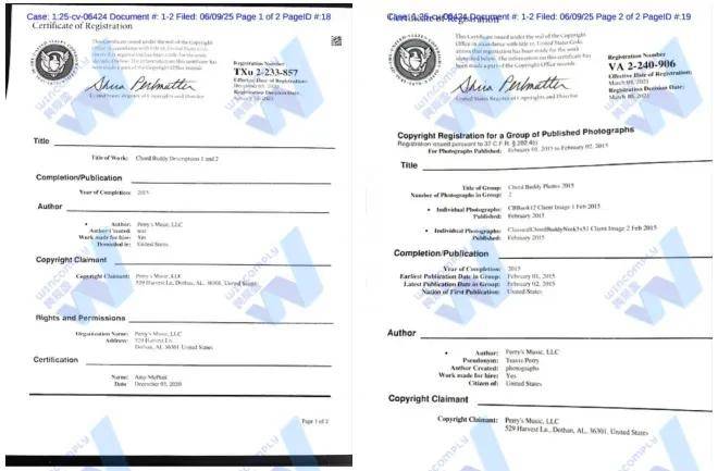 销6W+的爆款大卖在PD前因侵权“倒”下pg电子模拟器试玩上千家店铺被TRO！月(图5)