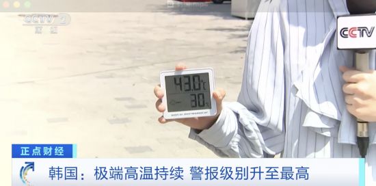 会--韩国频道--人民网pg电子免费试玩模拟器社(图5)
